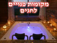 ���� ����� ���� �����  - ����� ���������